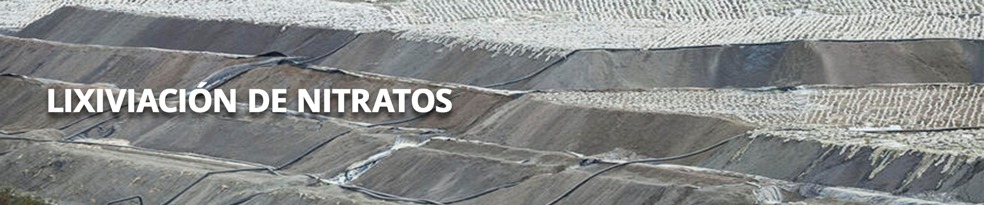 header lixi nitritos