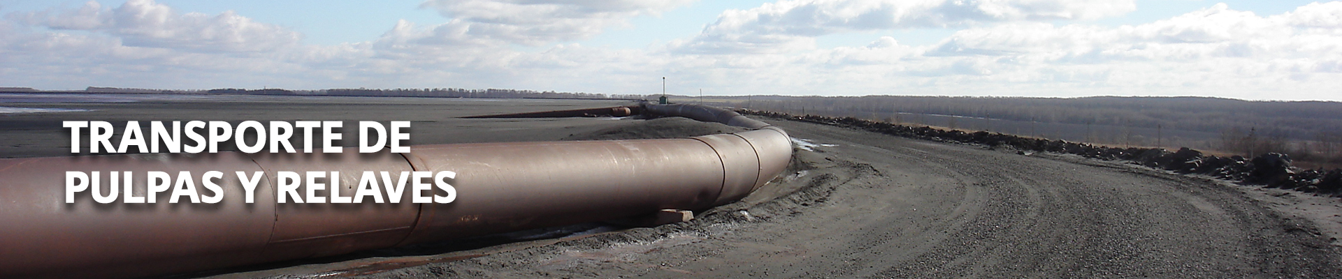 slide-tipo-TRANS-PULPAS-Y-RELAVES slide-tipo-TRANS-PULPAS-Y-RELAVES