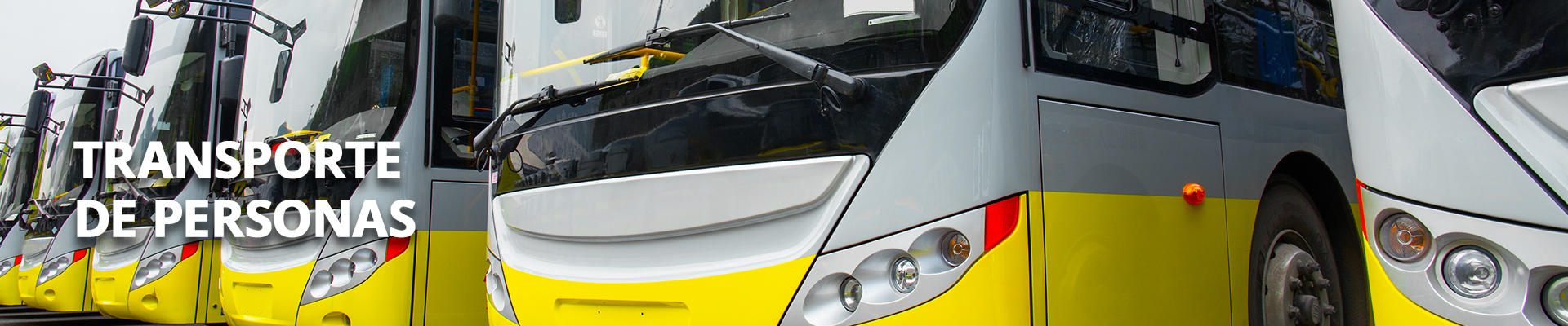 slide-tipo-TRANSPORTE-DE-PERSONAS slide-tipo-TRANSPORTE-DE-PERSONAS